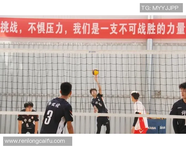 广州排球队心理素质排名第二揭秘排球运动员的心理竞技之道 广州排球队心理素质排名第二揭秘排球运动员的心理竞技之道