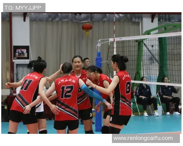 深入探讨北京排球队各队实力差异及未来发展潜力分析