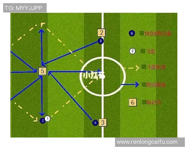 飞盘新手指南：从基础到高手的全面提升攻略与技巧分享