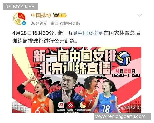 上海排球队实力引发热议球迷对其表现的争论与期待