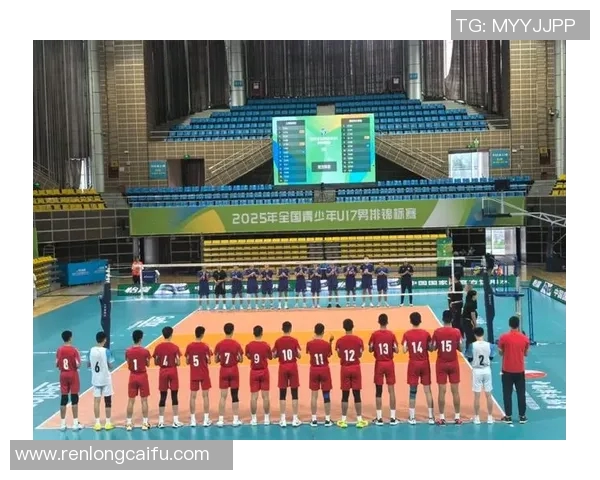 数据分析：上海排球队的配合表现