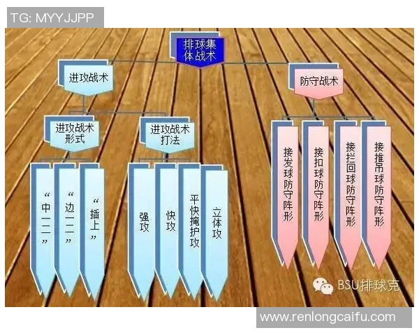 杭州排球队整体压制战术解析与赛事表现评估