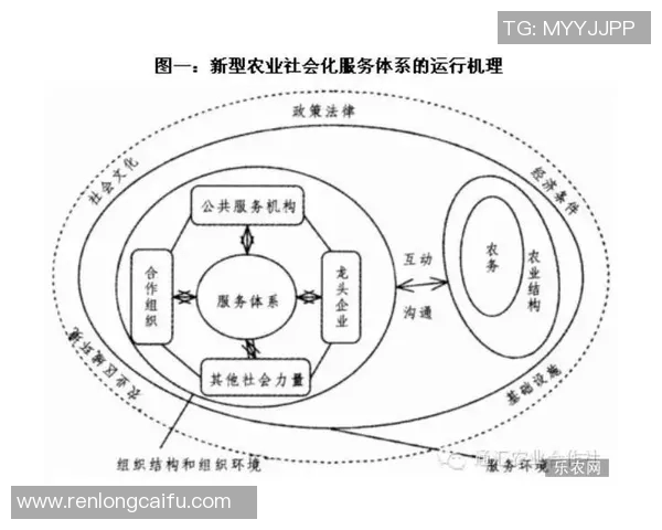 深圳篮球队的团队协作精神探讨与实践分析