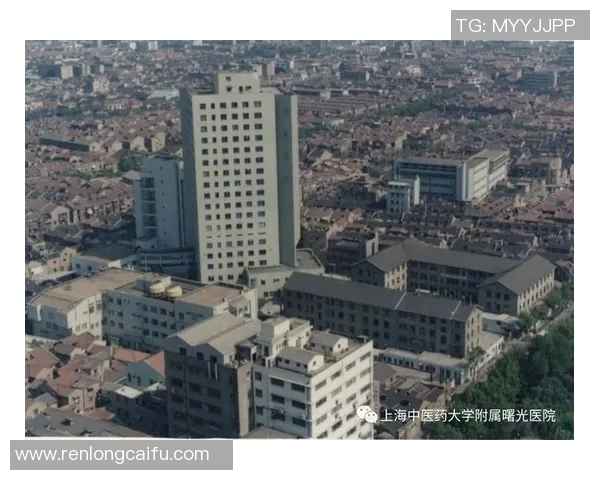 上海羽毛球队在联合会杯中的拼搏历程与荣耀时刻全景回顾